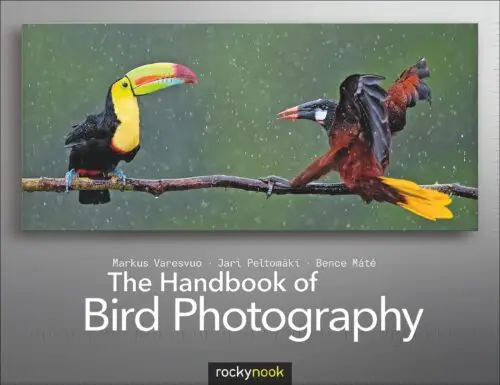 Field Value
post_title The Handbook of Bird Photography The Handbook of Bird Photography