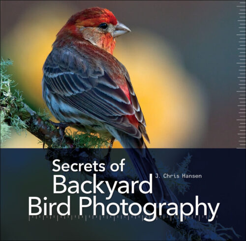 Field Value
post_title Secrets of Backyard Bird Photography Secrets of Backyard Bird Photography