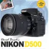 Field Value
post_title David Buschs Nikon D500 Guide to Digital SLR Photography David Buschs Nikon D500 Guide to Digital SLR Photography