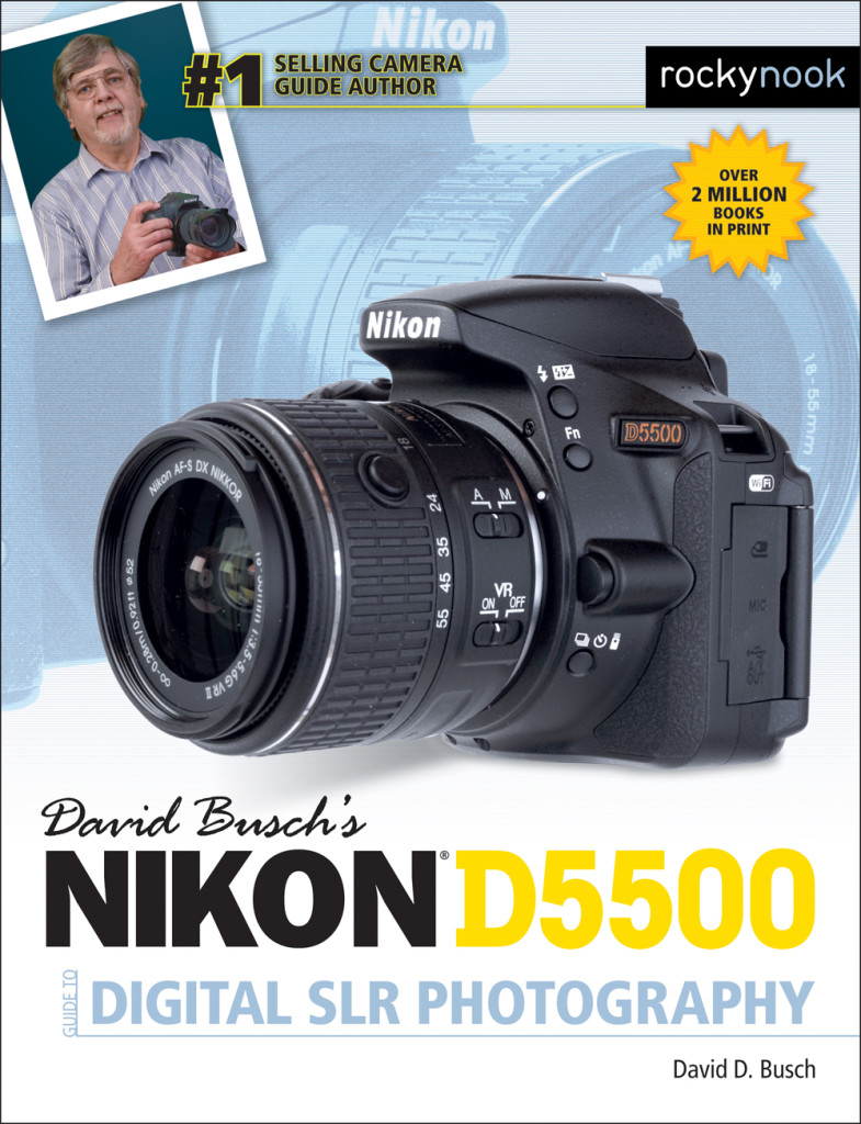 David Busch's Nikon D5500 Guide