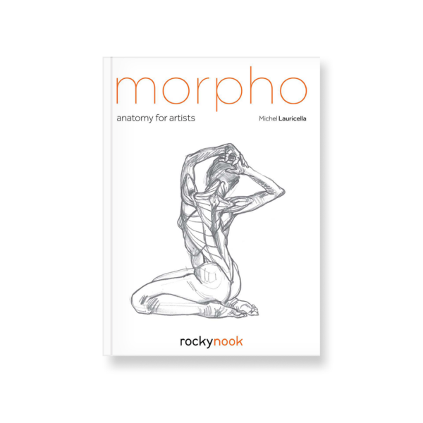 Field Value
post_title Morpho Morpho