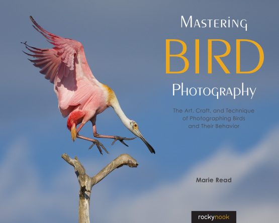 Mastering Bird Cover