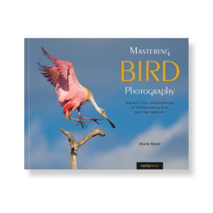 Mastering Bird Photography - print-and-ebook