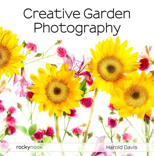 Field Value
post_title Creative Garden Photography Creative Garden Photography