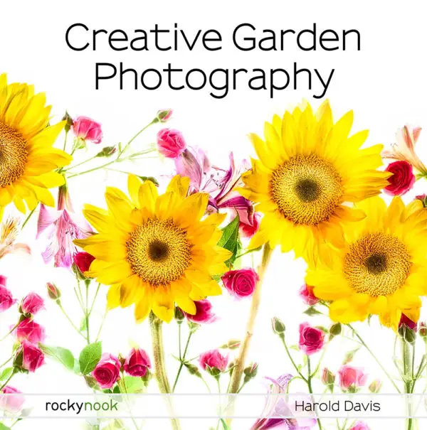 Field Value
post_title Creative Garden Photography Creative Garden Photography