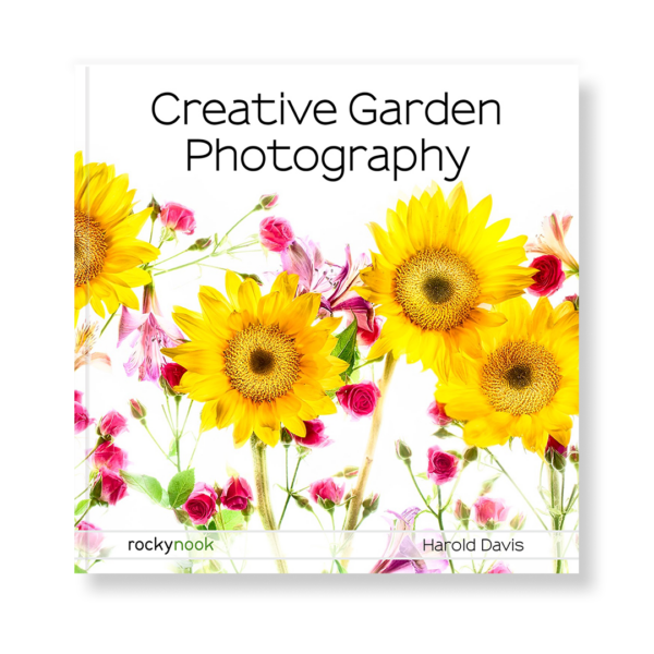 Field Value
post_title Creative Garden Photography Creative Garden Photography