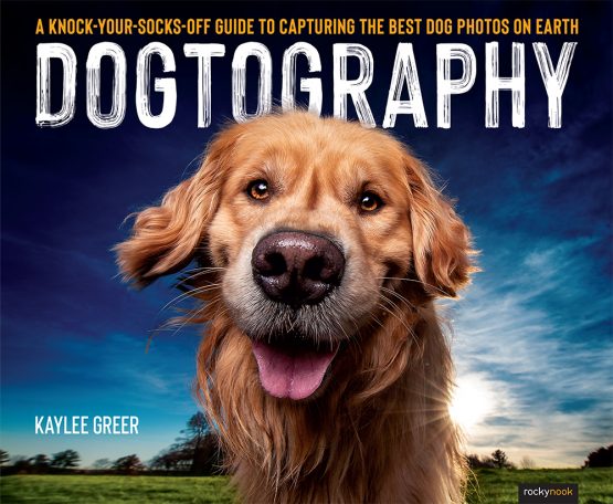 Dogtography-fullcover-CMYK.indd