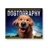Field Value
post_title Dogtography Dogtography
