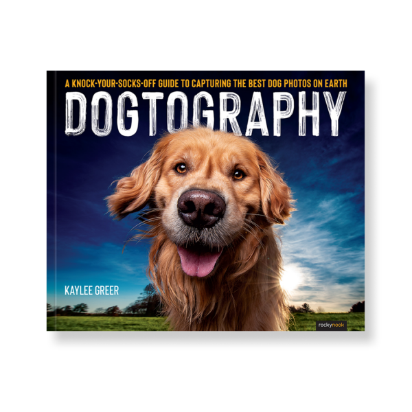 Field Value
post_title Dogtography Dogtography