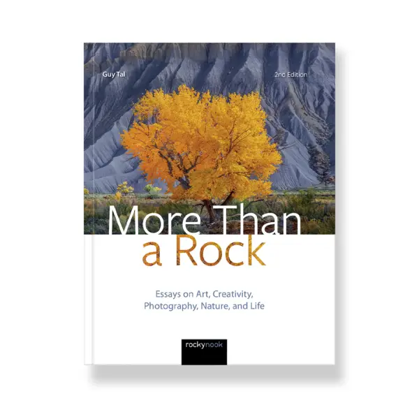 More Than a Rock, 2nd Edition
