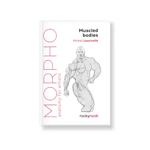 Morpho: Muscled Bodies