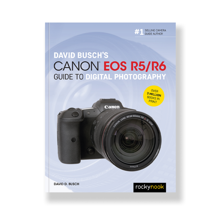 David Busch's Canon EOS R5/R6 Guide to Digital Photography