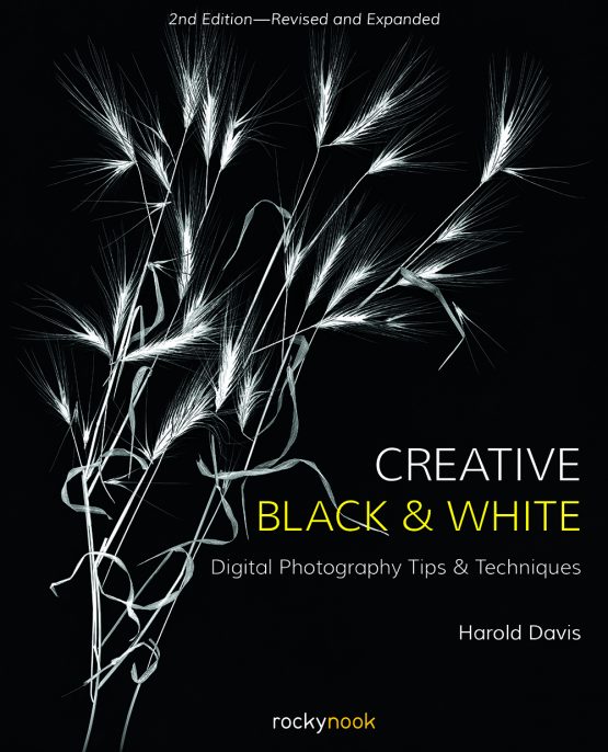 Davis-Creative BW-Full Cover-Final-04.10.2019.indd