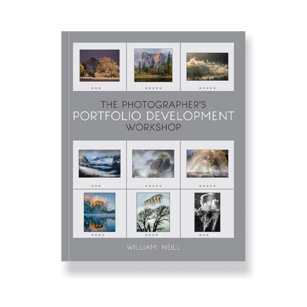 The Photographer's Portfolio Development Workshop