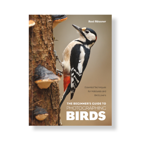 The Beginner's Guide to Photographing Birds