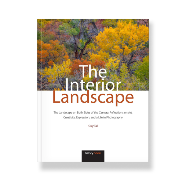 The Interior Landscape