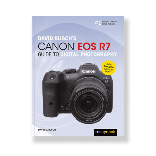 David Busch's Canon EOS R7 Guide to Digital Photography