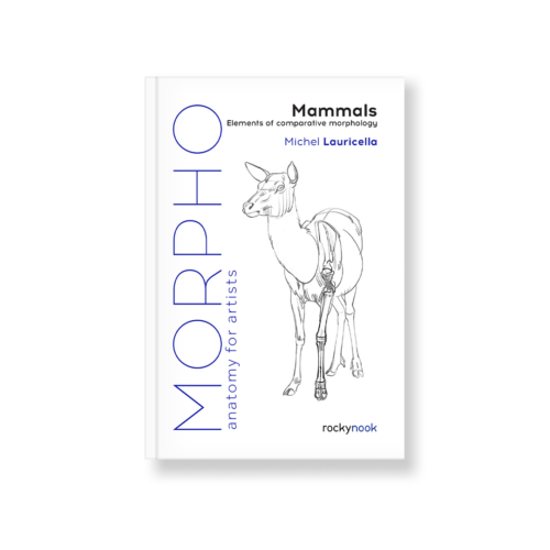 Morpho: Mammals