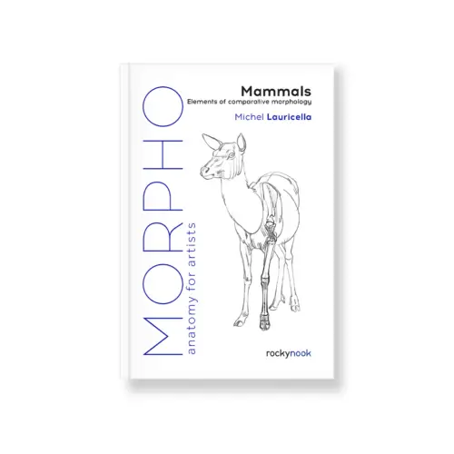 Field Value
post_title Morpho: Mammals Morpho: Mammals