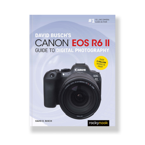 David Busch's Canon EOS R6 II Guide to Digital Photography