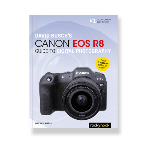 Field Value
post_title David Busch's Canon EOS R8 Guide to Digital Photography David Busch's Canon EOS R8 Guide to Digital Photography