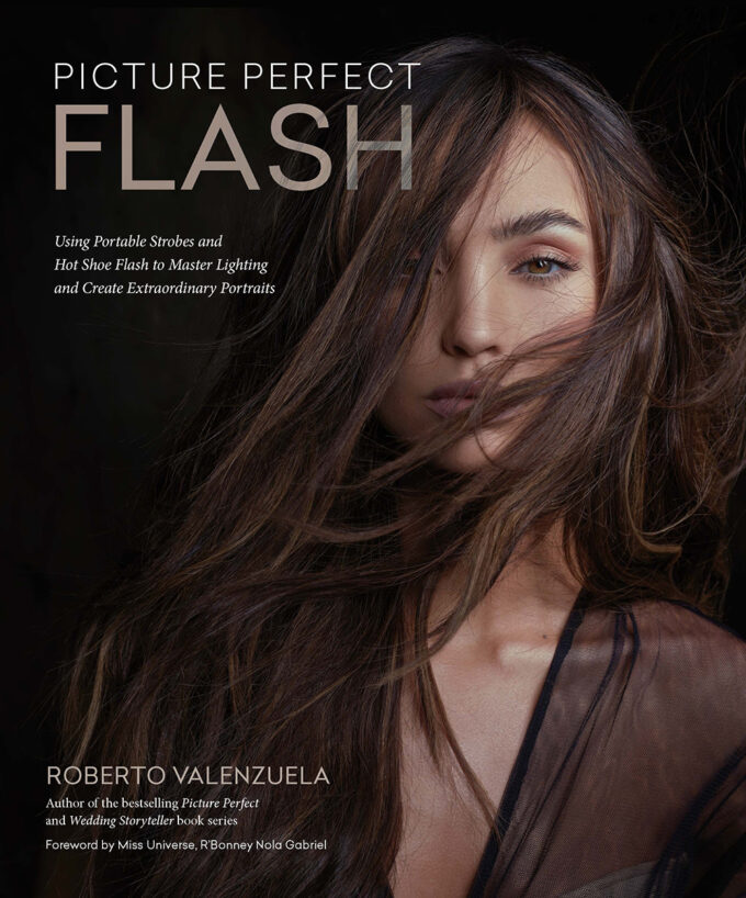 Book cover for Picture Perfect Flash