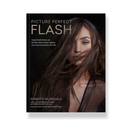 Picture Perfect Flash