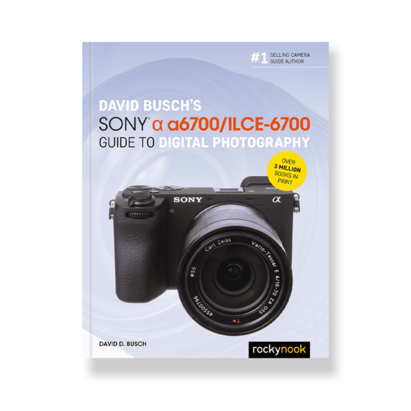 David Buschs Sony Alpha a6700/ILCE-6700 Guide to Digital Photography