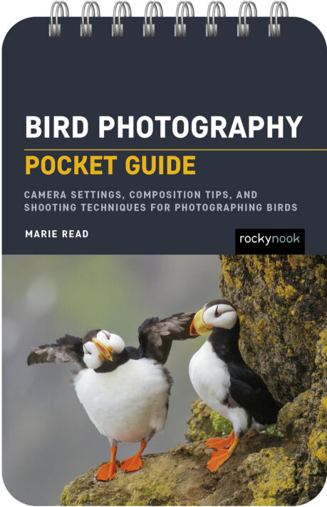 Bird Photography Pocket Guide