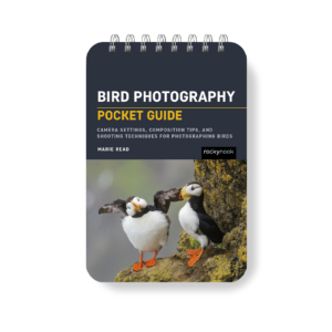 Bird Photography: Pocket Guide - print