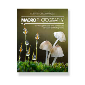 Macro Photography - print
