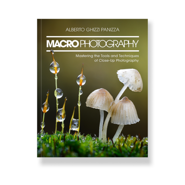 Macro Photography