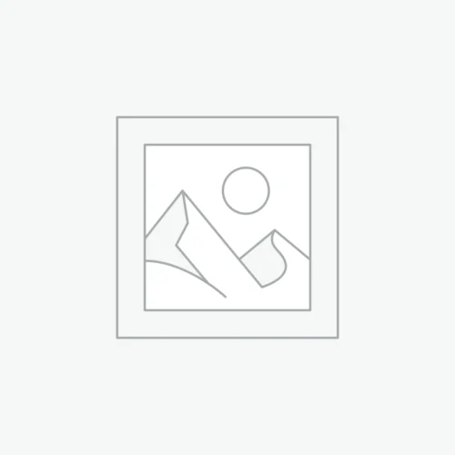 woocommerce-placeholder David Busch's Sony Alpha a7 IV Guide to Digital Photography